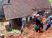 Hujan Deras Picu Longsor dan Pohon Tumbang di Tasikmalaya, Rumah Warga Terdampak