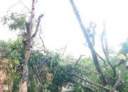 Angin Kencang dan Hujan Lebat Robohkan Pohon Pete, Tiga Rumah Rusak di Kp. Bojong Benteng