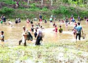 Tradisi Gubyag Balong Kembali Meriahkan Desa Tanjungkerta, Warga Tangkap Ikan Sambil Syukuran