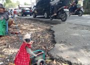Serli, Si Monyet Lincah yang Menghibur Pemudik di Tengah Macet