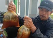 Jelajah Hutan Demi Madu Asli,  Eman Siap Pasok dalam Jumlah Besar, Dijamin Murni!