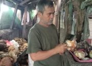 Harga Kelapa di Pasar Singaparna Masih Tinggi, Pedagang Gelisah Pasokan Menipis