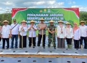 Dukung Swasembada Pangan, Perhutani Tasikmalaya Tanam Jagung Bersama
