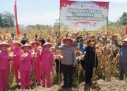 Sinergi Polri dan Petani, Panen Jagung Serentak di Tasikmalaya Hasilkan 117 Ton