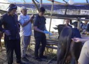 Jelang Iduladha, Pemkot Tasikmalaya Pastikan Ribuan Hewan Kurban Sehat dan Layak