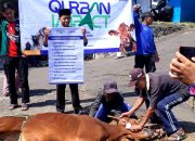 Warga Gareumpay Sumringah, Qurban Festival DT Peduli Bantu Pemerataan Daging Kurban hingga Pelosok